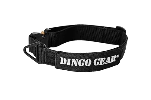 DINGO GEAR Cobra Dog Collar with Professional Safety Buckle, and Label Attached with Velcro-like Fastener, Reliable Collar for Defence Training, Special Tasks, Neck Girth 45-63 cm, Black (S04029)