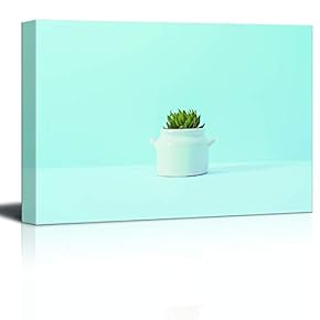 Single Cactus in White Flower Pot Blue Background...