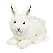 Webkinz Signature Arctic Hare 10.5