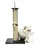 Amazon Basics Cat Scratching Post Tree - 12 x 12 x 25 Inches, Burgundy