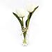 EBUYOM Mini Artificial Flowers Tulips Bouquet in Glass Vase, Home Decor Ornament Wedding Decoration (White)