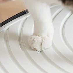 IRIS USA Cat Litter Box, Top Entry Litter Box with