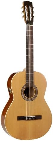 La Patrie Guitar, Etude QI