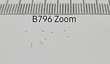 10x Blechnum Minus Fern Seeds - Garden Plants by Ipsa view 5