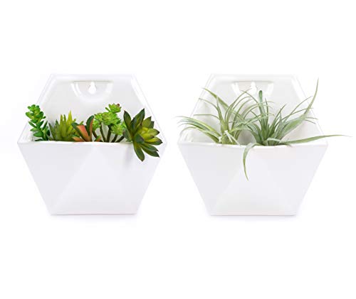 Nattol Geometric Wall Planter, Hanging Planters and Hanging Vase for Succulent, Cactus and Air Plants, Set of 2, White