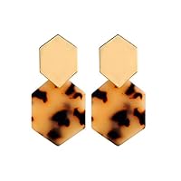 GUYUEXING Resin Acrylic Geometric Dangle Earrings, Tortoise Shell Earrings for Women Girls (Light Leaopard)