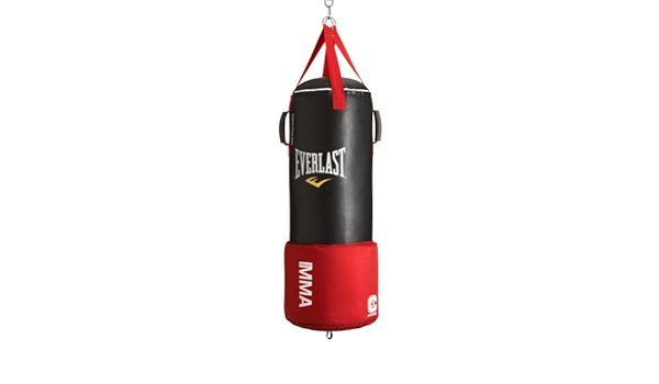 everlast strike bag