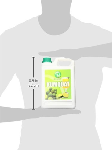 Possmei Flavored Syrup, Kumquat, 5.5 Pound