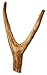 Deer Antler Fork Dog Chew - Large - 8 Inches to 10 Inches - For Medium to Large Size Dogs - Big Dog Antler Chews Brand