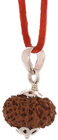 Amorfos Certified 11 Mukh Rudraksha Eleven Faced Rudraksh Silver Pendant for Men and Women -15mm to 17mm