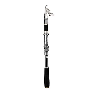 Plusinno Fishing Rod And Reel Combos Bronze Warrior Toray 24 | INDIA