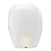 5 Pack Chinese Lanterns ECO Friendly - 100% Biodegradable- Beautiful Lanterns for Birthdays, Souvenirs
