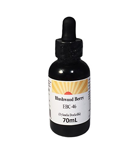 Blushwood Berry Tincture 70 ml Blushwood Berry Tincture 70 ml