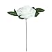 Vlovelife 50pcs White Real Looking Fake Roses Artificial Flowers Roses Head with Stem for DIY Wedding Bouquets Centerpieces Arrangements Birthday Baby Shower Home Party Decorations (White)
