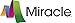 Miracle(Tm) H Q T-shirt - Squad 