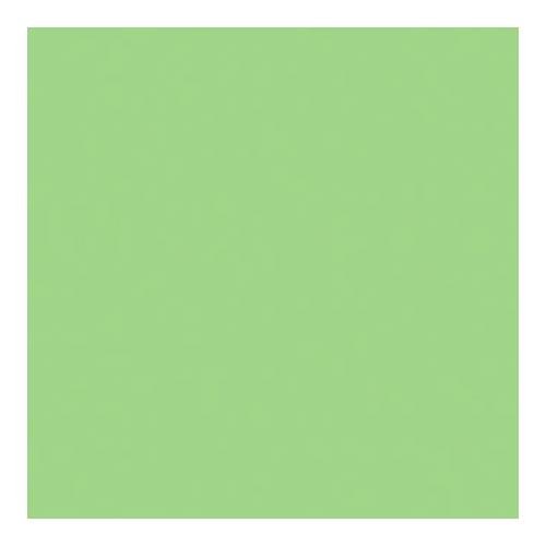 Rosco Roscolux Light Green, 20