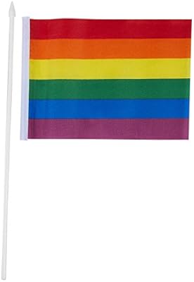 Amazon Com Juvale 12 Piece Set Of Mini Rainbow Flags Small Gay