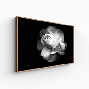 Canvas Wall Art for Living Room, Bedroom Monochrome Plants Framed Canvas Prints for Home Decoration Ready to Hang - 16x24 inches