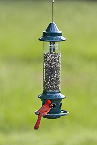 5 Squirrel+Buster+Cardinal+Feeding+Capacity