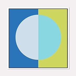 Framed Canvas Wall Art for Living Room, Bedroom Beautiful Watercolor Birds Canvas Prints for Home Decoration Ready to Hanging - 16x16 inches