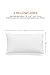 Heidelpeggy Pillowcases, Pillow Covers, Antibacterial, Anti-Microbial and Hypoallergenic Dust Mite White Pillow Protectors, Queen Size (20