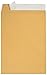 100 6 x 9 Self Seal Golden Brown Kraft Catalog Envelopes - Oversize 6 x 9 Envelope Peel and Seal Flap with 28 Pound Kraft Paper Envelopes - Printer Friendly Design - 100 Count