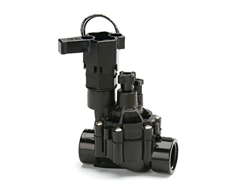 Rain Bird, 100-DVF magnetic valve, 1-inch internal thread with flow rate regulation