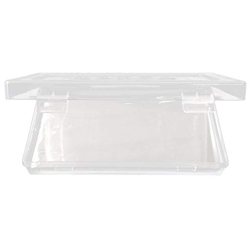 100pcs Paper Money Album Banknotes Currency Collection Sleeves Protector Bag with Storage Box Kangkangk - Thumbnail 3