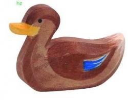 Ostheimer Duck Swimming