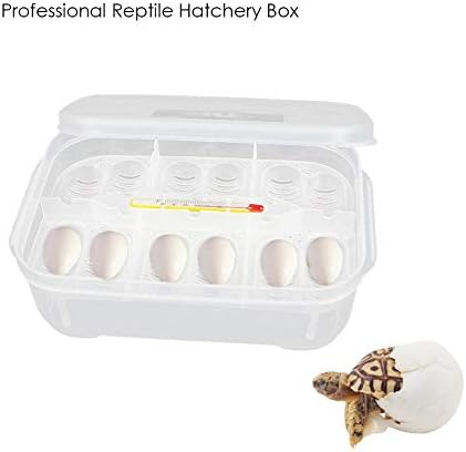 Hiplle Advanced Incubator with Egg Tray - Professional Reptile Breeding Box Hatching Box - Lizard Small Climbing Pet Poultry Pigeon & Game Bird Egg Incubators-16.5115cm