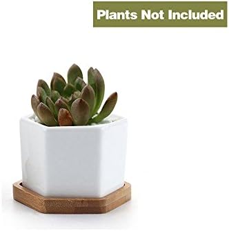 Y8HM Hexagon Design Mini Succulents Pots, White Ceramic Flower Pots Small Plant Pots with Bamboo Tray