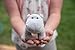Baby Hippo Plush Toy | Super Soft Hippo Stuffed Animals | Cute Plushies for Kids' Bedroom or Playroom | 7-in Safari Stuffed Animals for Girls & Boys | Hippo Stuffed Animal Toys by Exceptional Home