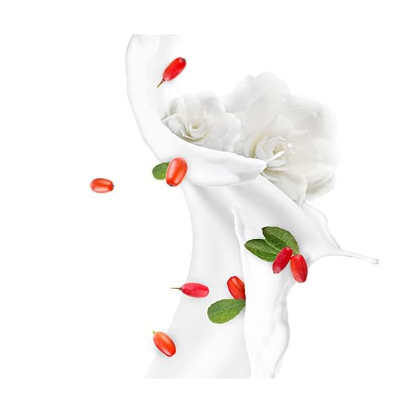 Dove-Care-Secrets-Body-Lotion-Vitalising-Ritual-with-Goji-Berries-and-Camellia-Fragrance-for-Normal-to-Dry-Skin-400-ml Dove Care Secrets Body Lotion Vitalising Ritual with Goji Berries and Camellia Fragrance for Normal to Dry Skin 400 ml