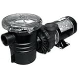 Amazon.com : 1.5 HP In Ground Pool Pump Motor, High-Flo