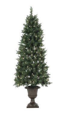 Boto Limited Ace 044c Prelit Slim Winston Pine Christmas Tree 6 B000wu3ic0 Amazon Price Tracker Tracking Amazon Price History Charts Amazon Price Watches Amazon Price Drop Alerts Camelcamelcamel Com