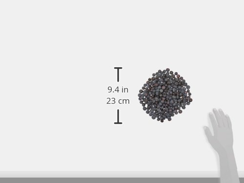 Blueberries Pint - Image 2