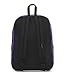 JanSport Disney High Stakes Backpack (Space Walk)