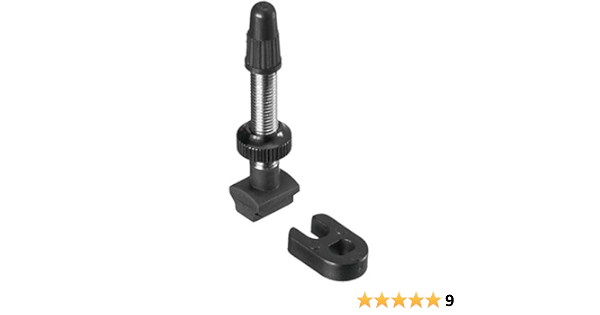 Válvula Tubuless DT SWISS para ruedas de Carretera y Mtb (largo 32mm)