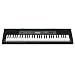 Casio CTK-2550 61-Key Portable Keyboard with App Integration/Dance Music Mode
