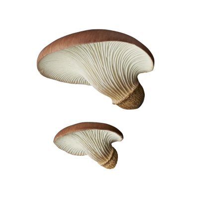 image for Kitan Club Luminous Mushroom Plastic Toys - Magnetic and Glow-in-the-D
