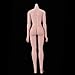 Flameer 1:6th Super-Flexible Female Stainless Steel Body with Hands Feet for Phicen Figure Doll Toy Wheat Skin