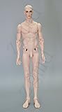 Zgmd 1/3 BJD Doll SD Doll Ball Jointed Doll
