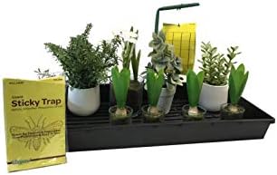 Insect trap, Yellow dual sided sticky insect trap for white flies, fungus Gnats, aphids, leafminers , pest control (10 pack, 50 traps)