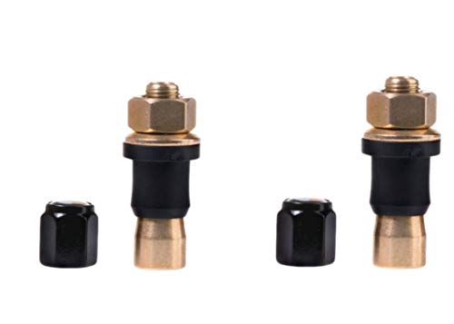 PolarisATV Colby Short Ultimate Valve (2 Pack)