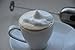 Zoocura Stainless Steel Milk Frother Dual Speed Sliver