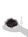 biOrb Sea Lily Crimson