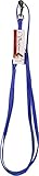 VALHOMA 381 C 6BL 625484 Nylon Chicken Leash, Blue, 6'
