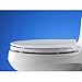 KOHLER K-4636-33 Cachet Quiet-Close with Grip-Tight Bumpers Elongated Toilet Seat, Mexican Sand