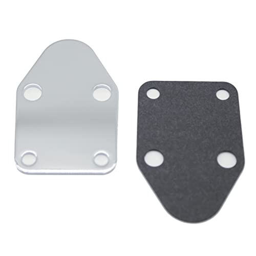 MitasQ Kauklibna Fuel Pump Plate, Chrome Fuel Pump Block Off Plate with