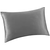 ALASKA BEAR - Natural Silk Pillowcase, Hypoallergenic, 19 Momme, 600 Thread Count 100 Percent Mulberry Silk, Standard Size with Hidden Zipper (1, Iron Grey)